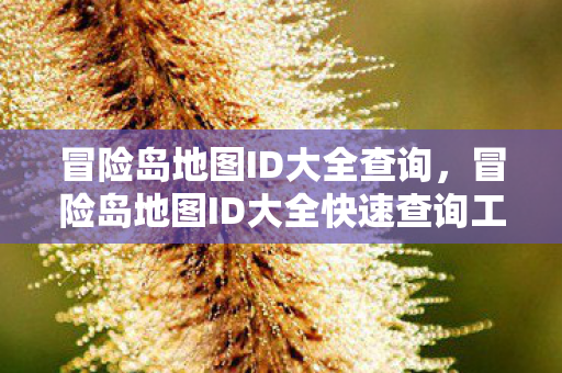 冒险岛地图ID大全查询,冒险岛地图ID大全快速查询工具 冒险岛地图ID大全查询,冒险岛地图ID大全快速查询工具