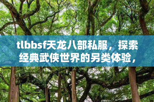 tlbbsf天龙八部私服另类体验图片