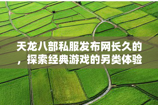 天龙八部私服发布网长久的图片