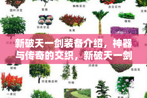 新破天一剑装备介绍，神器与传奇的交织，新破天一剑，神器与传奇的交织装备揭秘