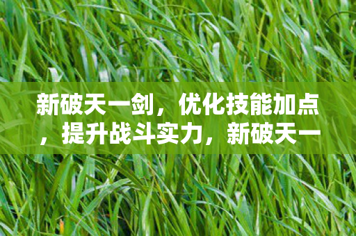 新破天一剑,优化技能加点,提升战斗实力,新破天一剑,优化技能加点,提升战斗实力 新破天一剑,优化技能加点,提升战斗实力,新破天一剑,优化技能加点,提升战斗实力