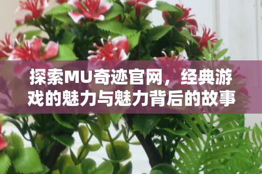 经典游戏的魅力与魅力背后的故事图片