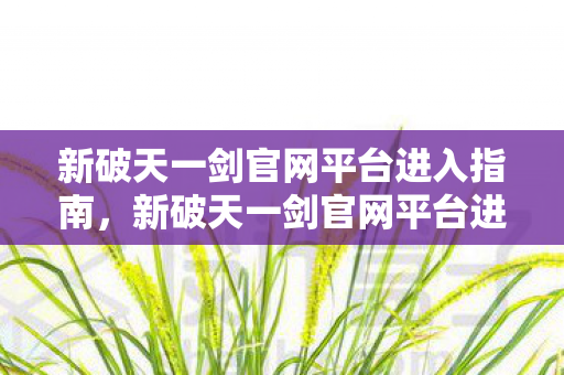 新破天一剑官网平台进入指南，新破天一剑官网平台进入指南，轻松开启冒险之旅