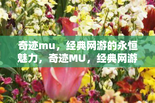 经典网游的永恒魅力图片