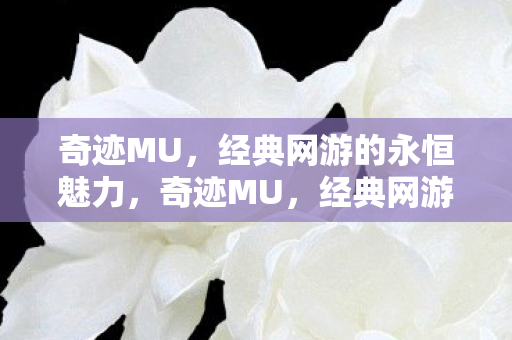 经典网游的永恒魅力图片