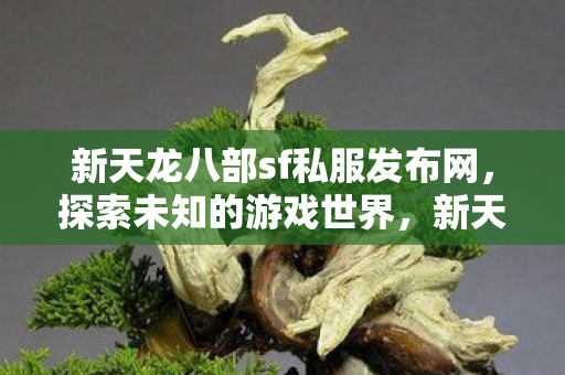 新天龙八部sf私服发布网图片