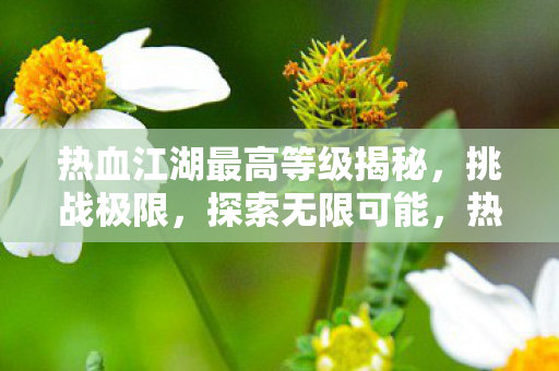 热血江湖最高等级揭秘,挑战极限,探索无限可能,热血江湖,揭秘最高等级,挑战极限,探索无限可能 热血江湖最高等级揭秘,挑战极限,探索无限可能,热血江湖,揭秘最高等级,挑战极限,探索无限可能