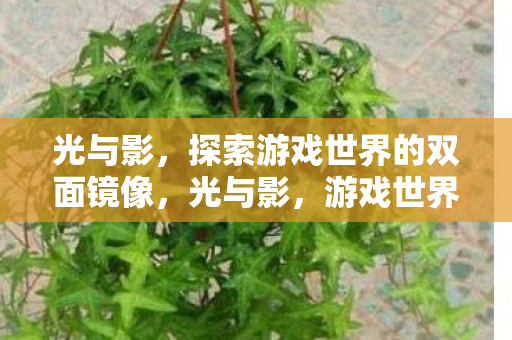 探索游戏世界的双面镜像图片