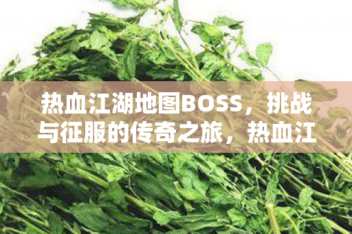 热血江湖地图BOSS,挑战与征服的传奇之旅,热血江湖地图BOSS,挑战与征服的传奇之旅 热血江湖地图BOSS,挑战与征服的传奇之旅,热血江湖地图BOSS,挑战与征服的传奇之旅