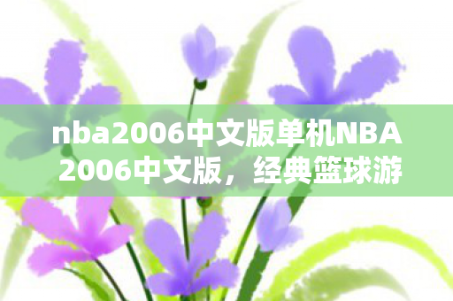 nba2006中文版单机NBA 2006中文版图片