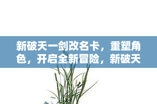 新破天一剑改名卡,重塑角色,开启全新冒险,新破天一剑改名卡,重塑角色,开启全新冒险之旅 新破天一剑改名卡,重塑角色,开启全新冒险,新破天一剑改名卡,重塑角色,开启全新冒险之旅