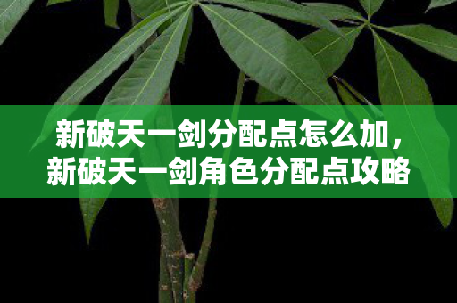 新破天一剑分配点怎么加,新破天一剑角色分配点攻略 新破天一剑分配点怎么加,新破天一剑角色分配点攻略