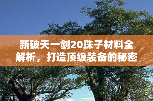 新破天一剑20珠子材料全解析,打造顶级装备的秘密,新破天一剑,20珠子材料全解析,揭秘顶级装备打造秘诀 新破天一剑20珠子材料全解析,打造顶级装备的秘密,新破天一剑,20珠子材料全解析,揭秘顶级装备打造秘诀