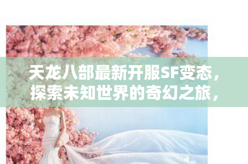 天龙八部最新开服SF变态图片