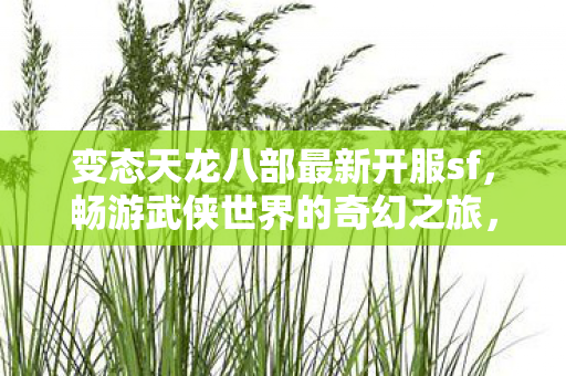 变态天龙八部最新开服sf图片