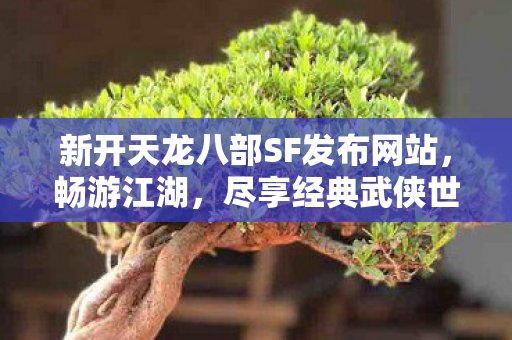 新开天龙八部SF发布网站图片
