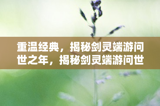 重温经典，揭秘剑灵端游问世之年，揭秘剑灵端游问世之年，重温经典，回忆往昔