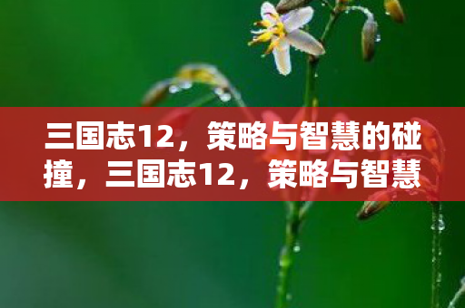 策略与智慧的终极对决图片