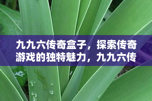 探索传奇游戏的独特魅力图片
