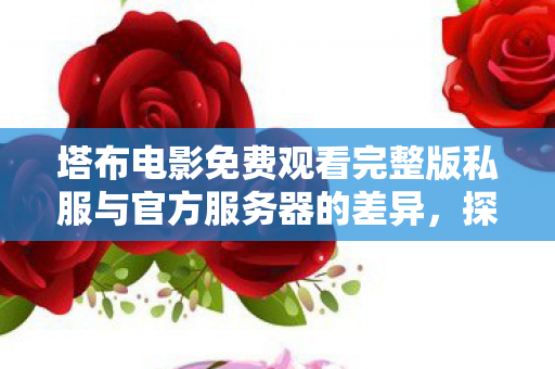 塔布电影免费观看完整版私服与官方服务器的差异图片