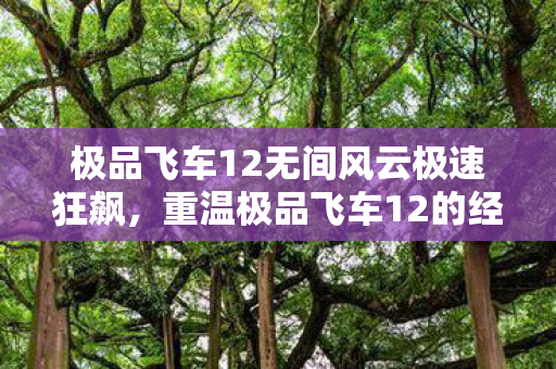 极品飞车12无间风云极速狂飙图片