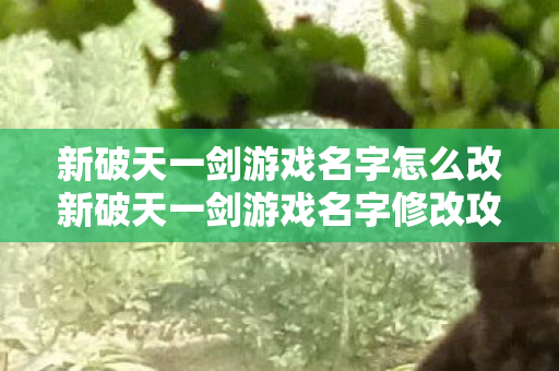 新破天一剑游戏名字怎么改新破天一剑游戏名字修改攻略，新破天一剑游戏名字修改攻略