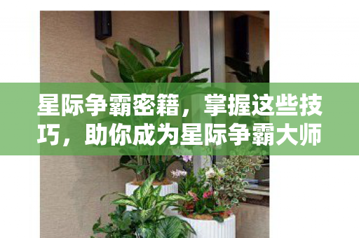助你成为星际争霸大师图片