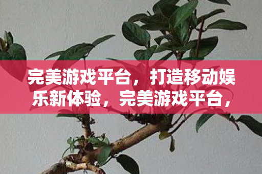 打造移动娱乐新体验图片