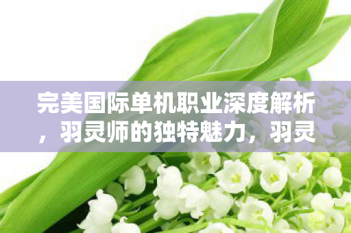 完美国际单机职业深度解析图片
