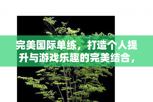 打造个人提升与游戏乐趣的完美结合图片