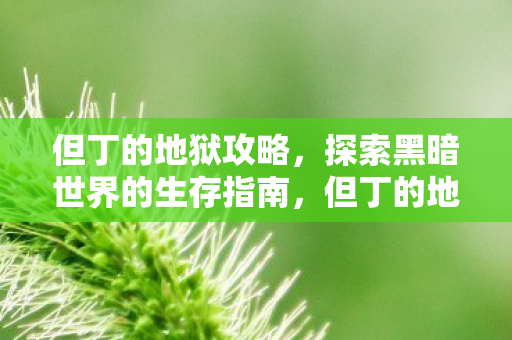 探索黑暗世界的生存指南图片