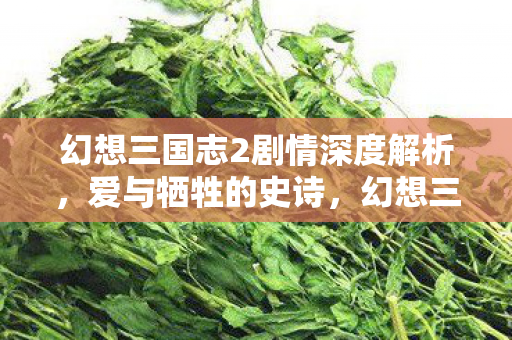 爱与牺牲的史诗剧情深度解析图片