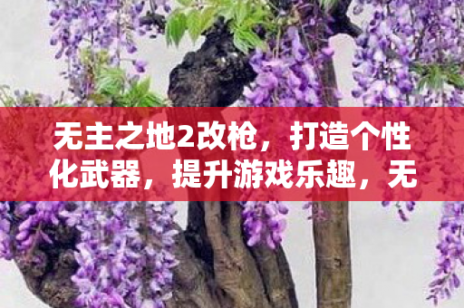无主之地2改枪打造个性化武器图片
