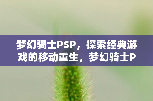 梦幻骑士PSP,探索经典游戏的移动重生,梦幻骑士PSP,经典游戏的移动重生之旅 梦幻骑士PSP,探索经典游戏的移动重生,梦幻骑士PSP,经典游戏的移动重生之旅