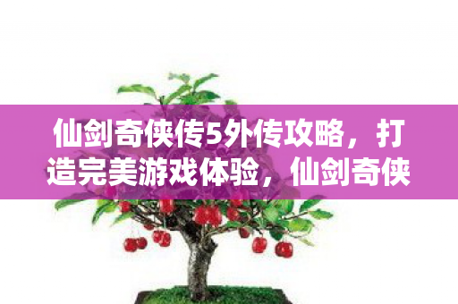 仙剑奇侠传5外传攻略,打造完美游戏体验,仙剑奇侠传5外传攻略,打造完美游戏体验 仙剑奇侠传5外传攻略,打造完美游戏体验,仙剑奇侠传5外传攻略,打造完美游戏体验