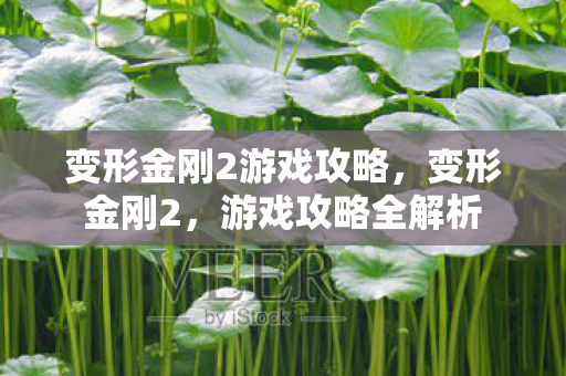 变形金刚2游戏攻略图片