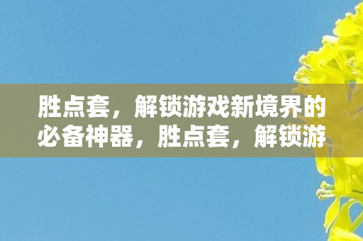 胜点套,解锁游戏新境界的必备神器,胜点套,解锁游戏新境界的必备神器 胜点套,解锁游戏新境界的必备神器,胜点套,解锁游戏新境界的必备神器