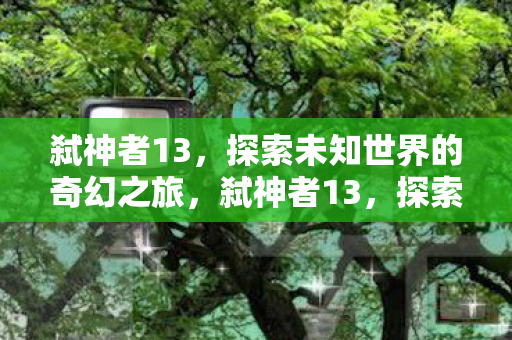 弑神者13，探索未知世界的奇幻之旅，弑神者13，探索未知世界的奇幻冒险之旅