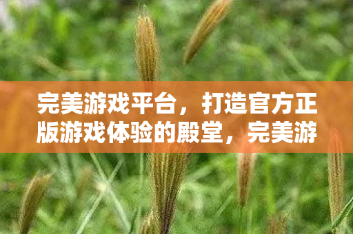 打造官方正版游戏体验的殿堂图片