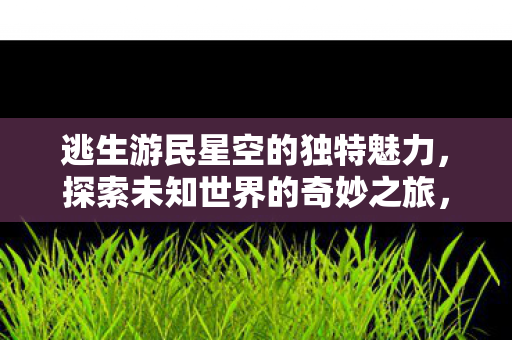 逃生游民星空的独特魅力图片
