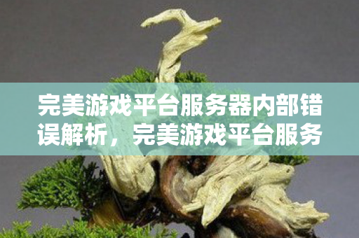 完美游戏平台服务器内部错误解析图片