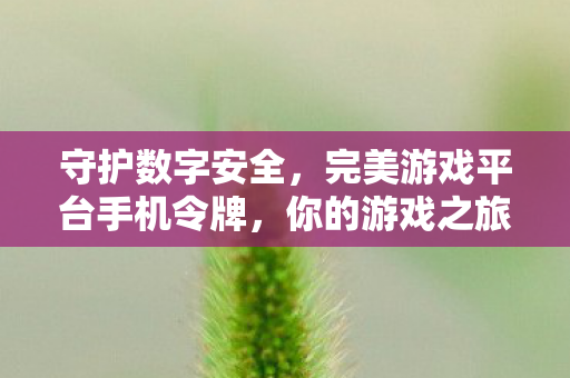 完美游戏平台手机令牌图片