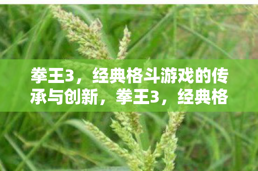 经典格斗游戏的传承与创新图片