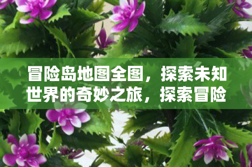 冒险岛地图全图，探索未知世界的奇妙之旅，探索冒险岛全图，开启未知世界的奇妙之旅