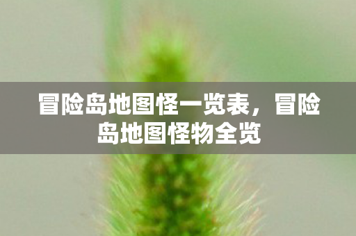 冒险岛地图怪一览表，冒险岛地图怪物全览