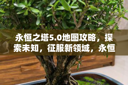 0地图探索攻略图片