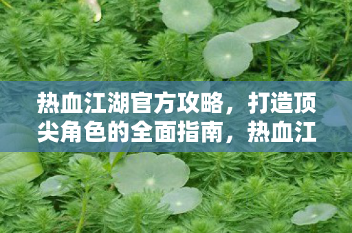 热血江湖官方攻略,打造顶尖角色的全面指南,热血江湖,打造顶尖角色的全面攻略 热血江湖官方攻略,打造顶尖角色的全面指南,热血江湖,打造顶尖角色的全面攻略