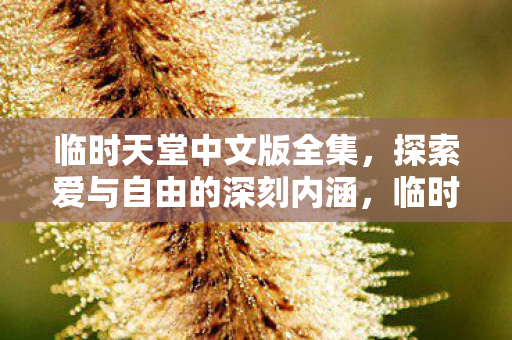 探索爱与自由的深刻内涵图片