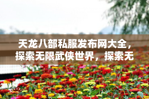 天龙八部私服发布网大全图片