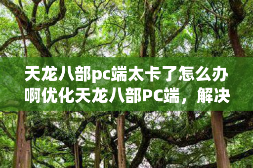 天龙八部pc端太卡了怎么办啊优化天龙八部PC端图片